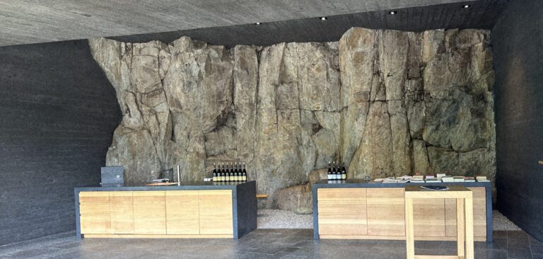 Weingut Gunphof_Verkostungsraum_Fels