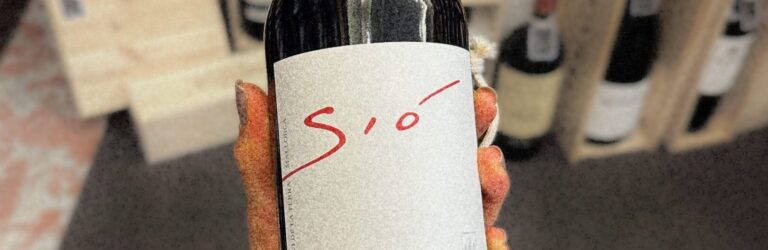 Rotwein-Sio_BodegaRibas_Flasche