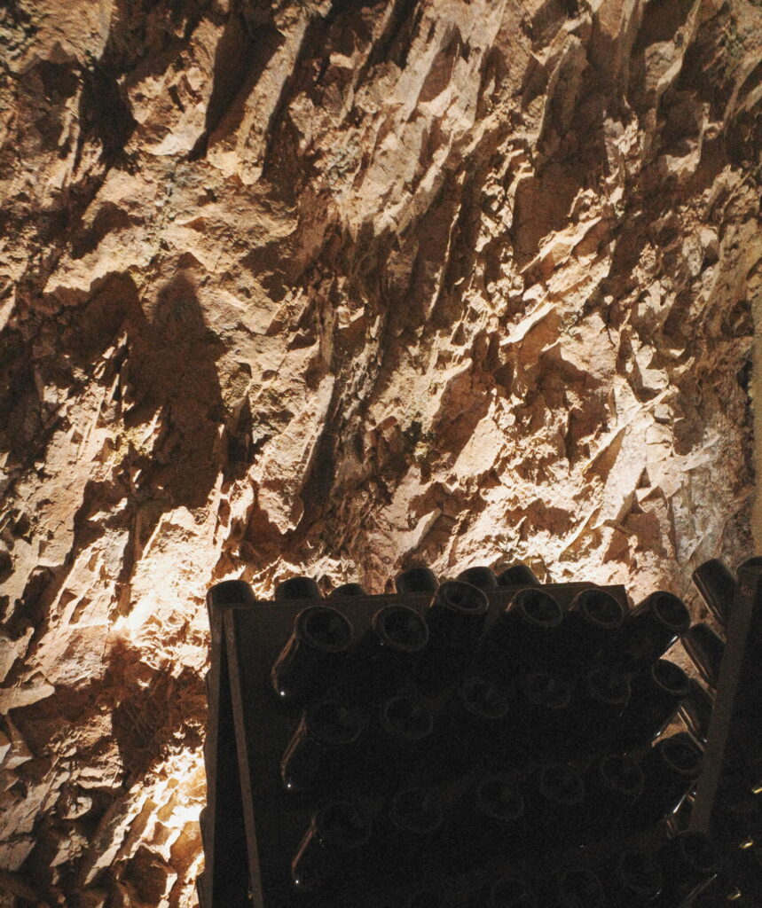 
Tenute-Olbios_Keller_Granitwand