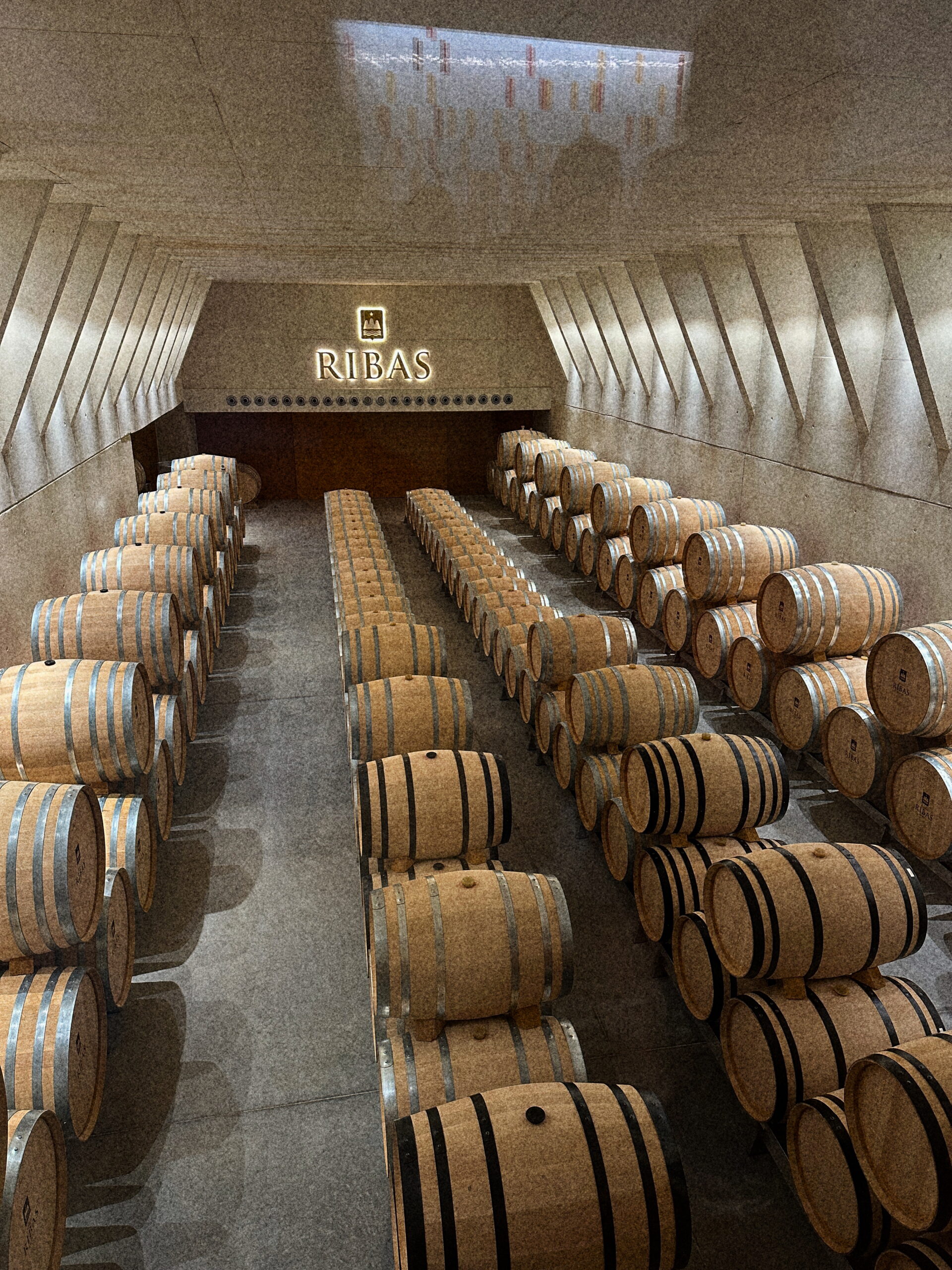 Weingut-BodegaRibas_BarriqueKeller