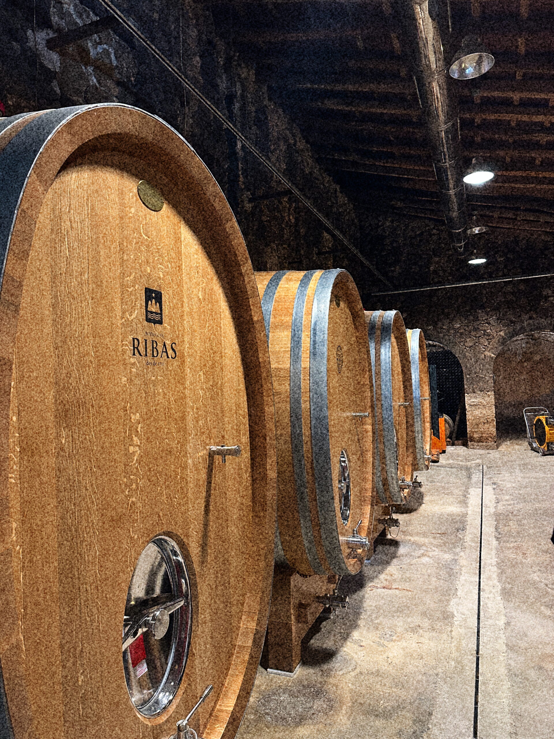 Weingut-BodegaRibas_Grosse-Faesser