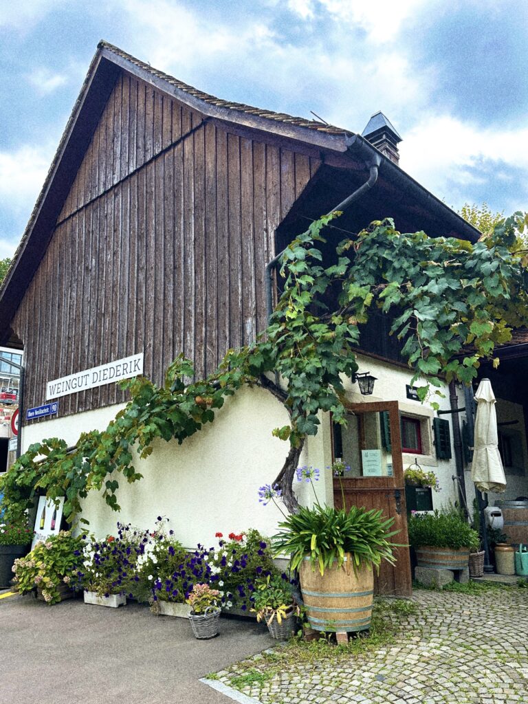Diederik_Traubenlese-HofVorne