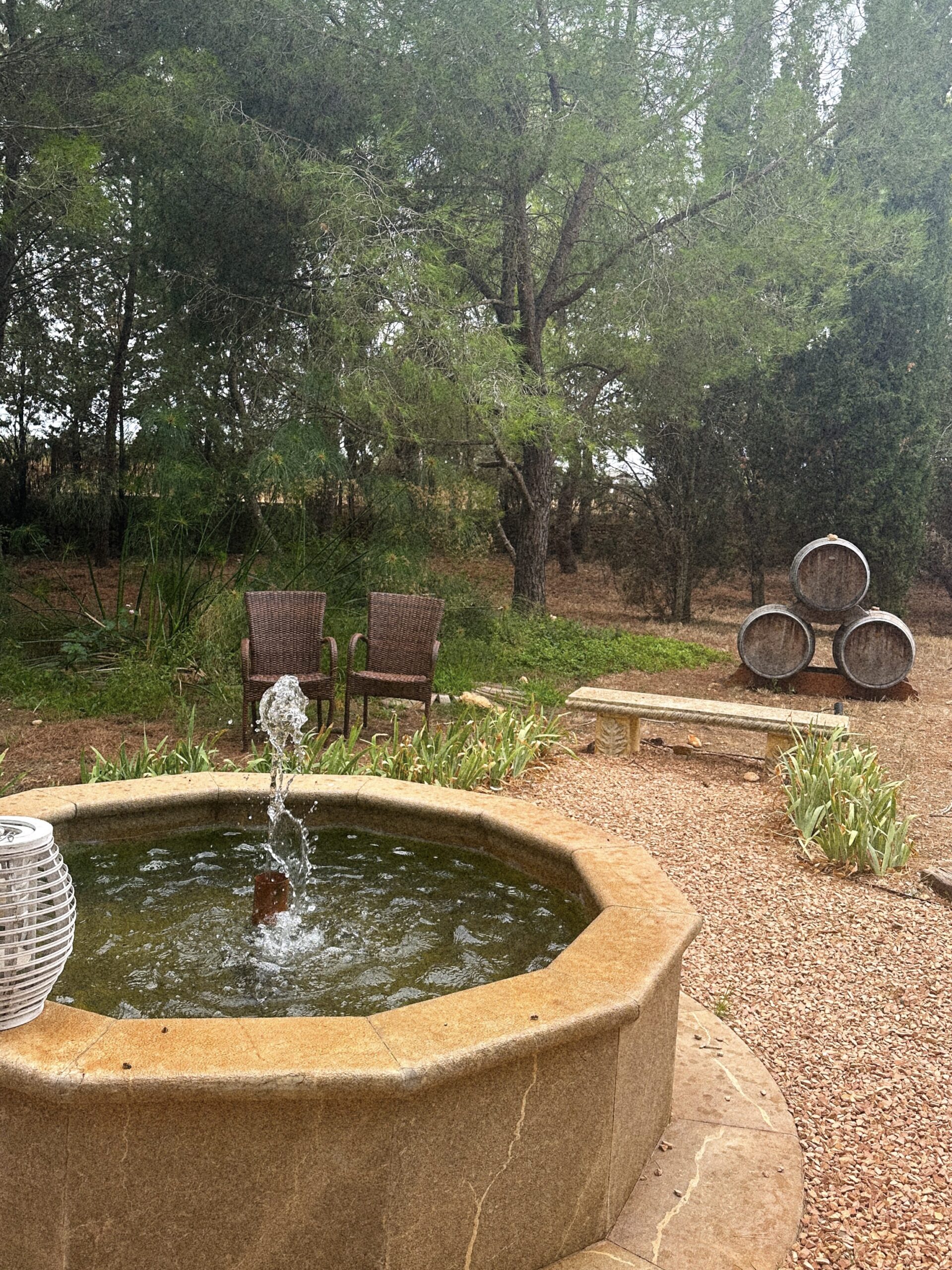 Finca-Biniagual_Brunnen