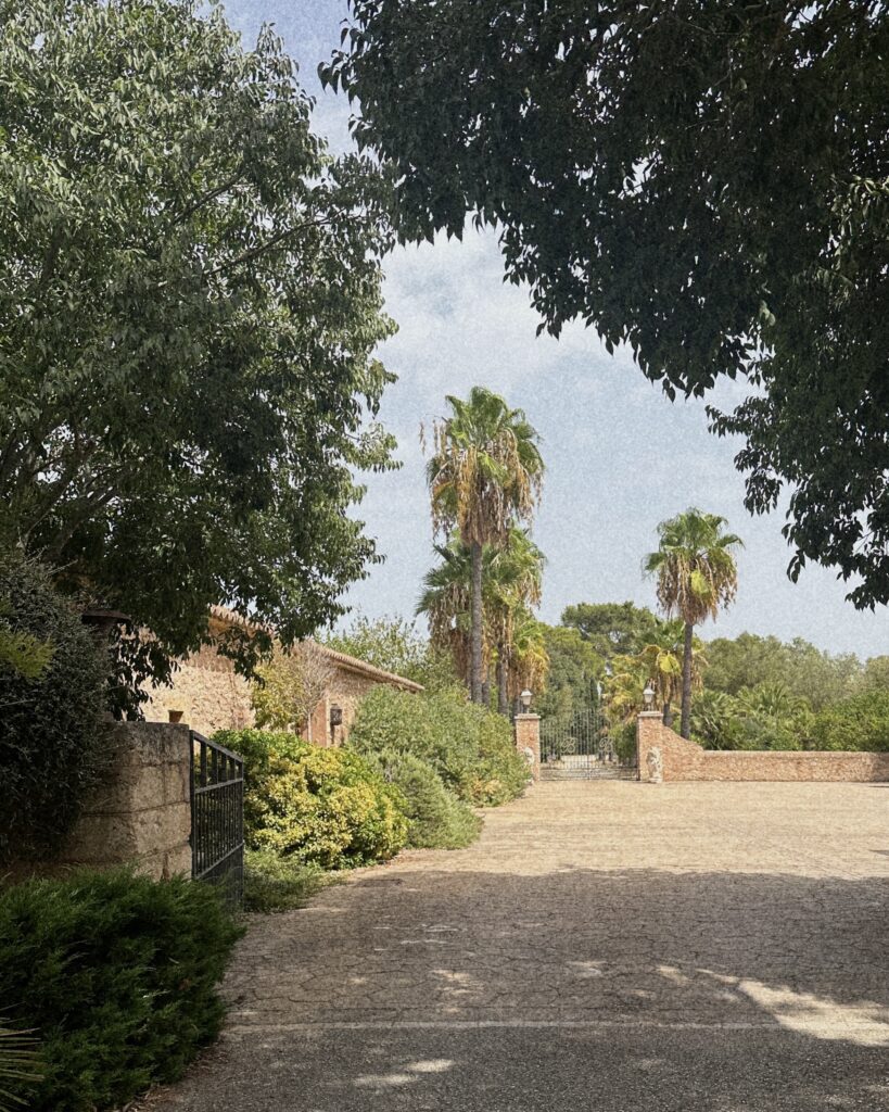 Finca-Biniagual_Einfahrt