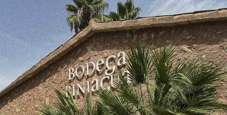 Finca-Biniagual_Haus