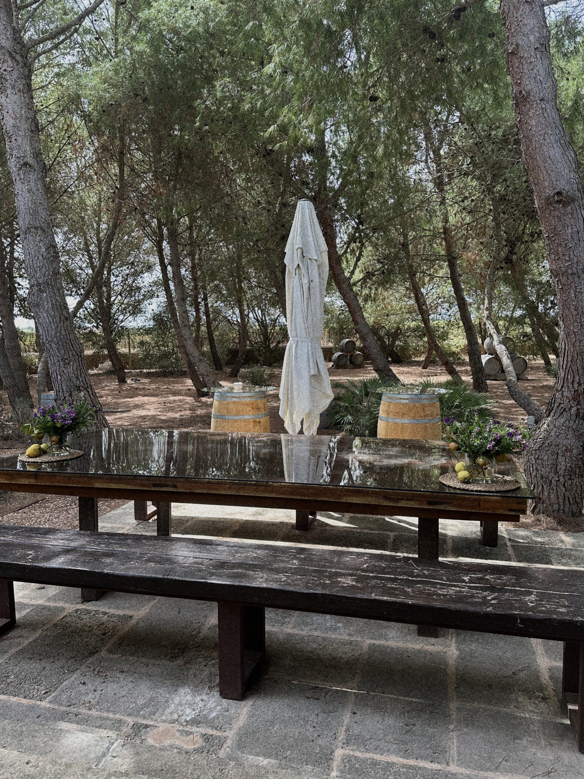 Finca-Biniagual_Hof