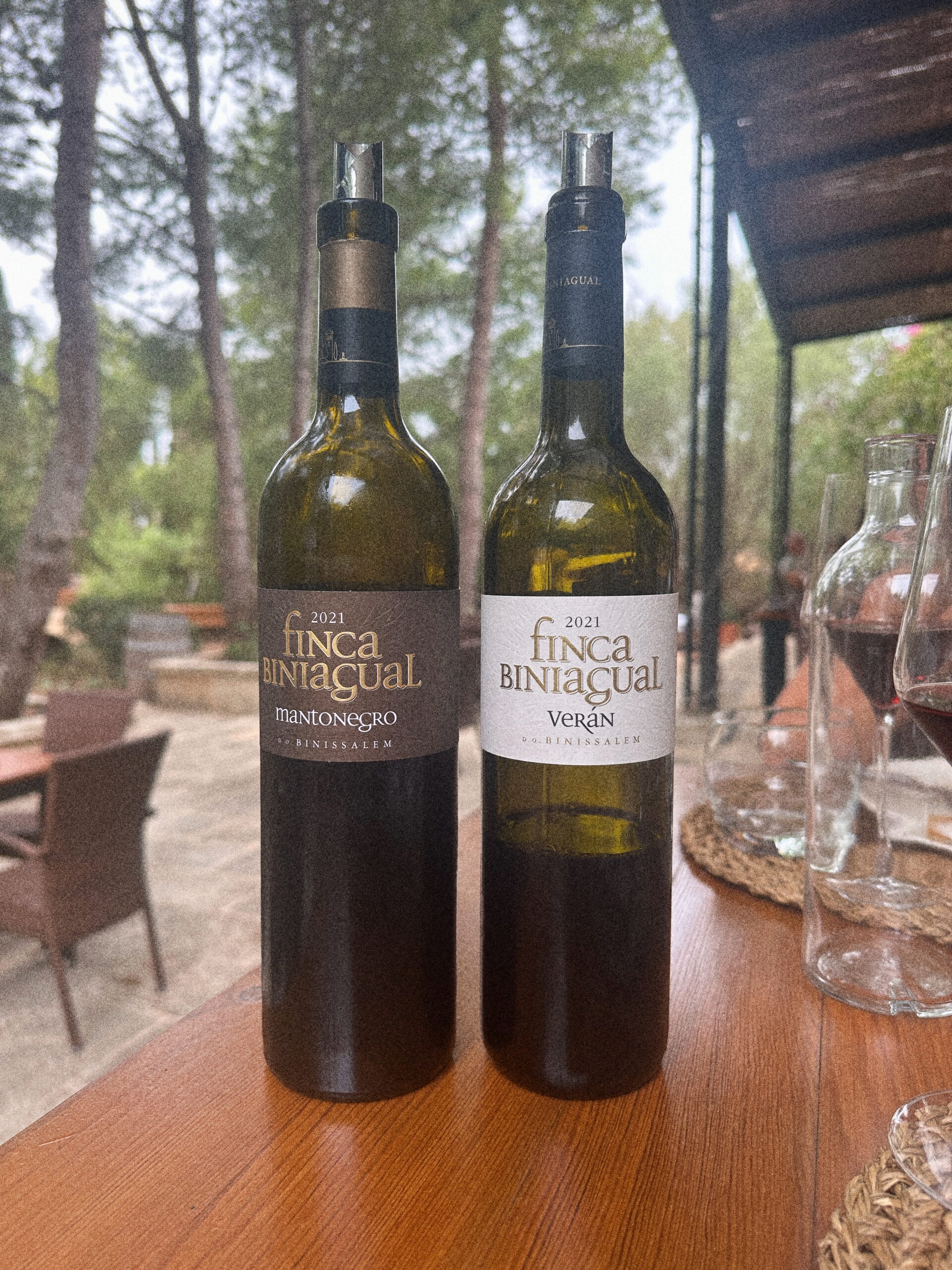 Finca-Biniagual_Rotweine