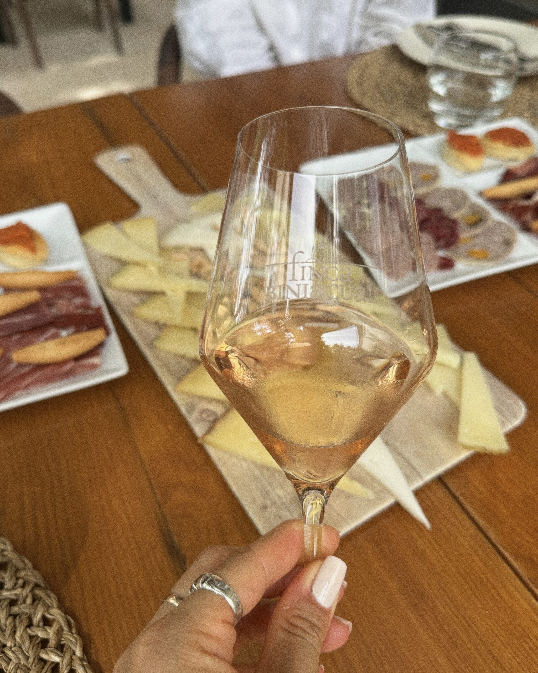 Finca-Biniagual_Tasting